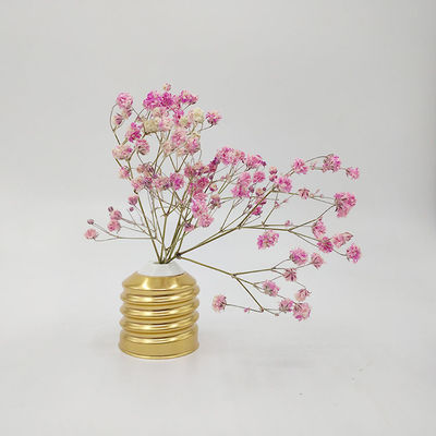 โคมไฟแข็งแกร่งรูปหลอดพลาสติก ขวดหลอดไฟ ขวดดื่ม น้ําพริกสัตว์เลี้ยง ขวดนมที่ต้องการ